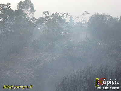 Fotorassegna: Incendio al Canalone
