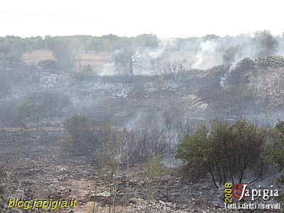 Fotorassegna: Incendio al Canalone