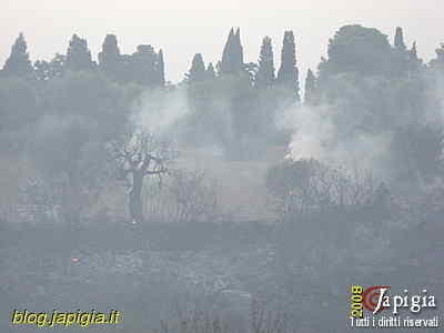 Fotorassegna: Incendio al Canalone