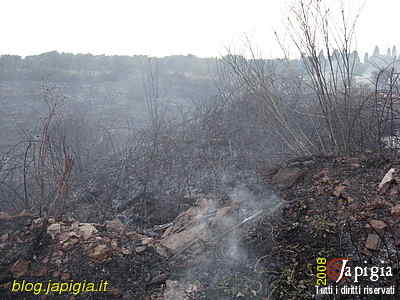 Fotorassegna: Incendio al Canalone