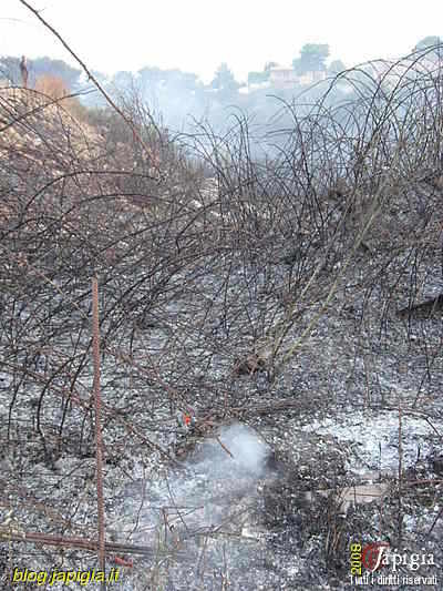 Fotorassegna: Incendio al Canalone