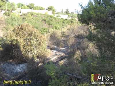 Fotorassegna: Incendio al Canalone