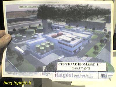progetto centrale biomasse