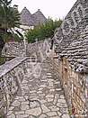 Immagine n. 6