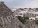 Immagine n. 7