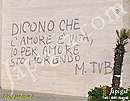 Immagine n. 7
