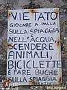 Immagine n. 13