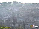 Immagine n. 11