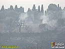 Immagine n. 13
