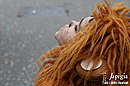 Immagine n. 5