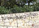 Immagine n. 9