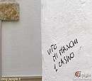 Immagine n. 11