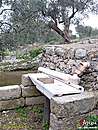 Immagine n. 13