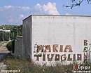 Immagine n. 23