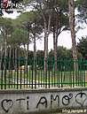 Immagine n. 14
