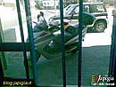 Immagine n. 8