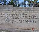 Immagine n. 19