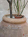 Immagine n. 1