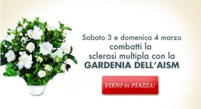 aism regala una gardenia
