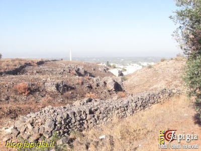 incendi e incuria