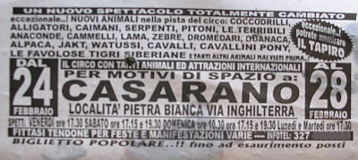 Fotorassegna: Photosciok!