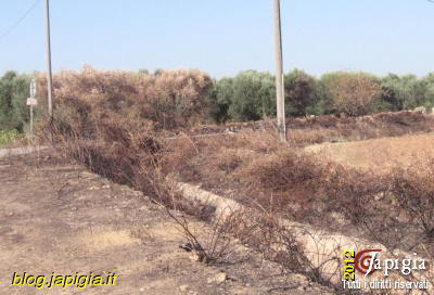 incendi e incuria