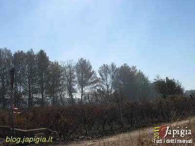 incendio a casarano