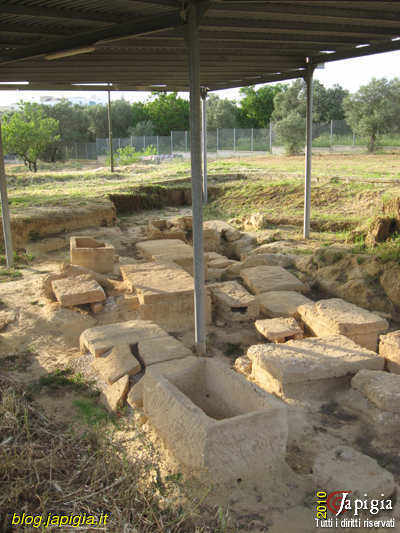 alezio, museo civico e parco archeologico