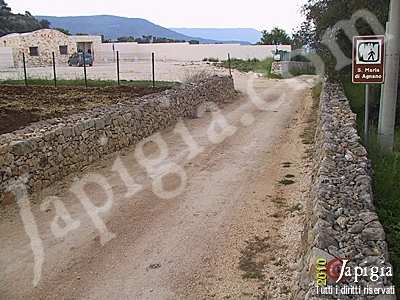 Fotorassegna: Ostuni e Alberobello