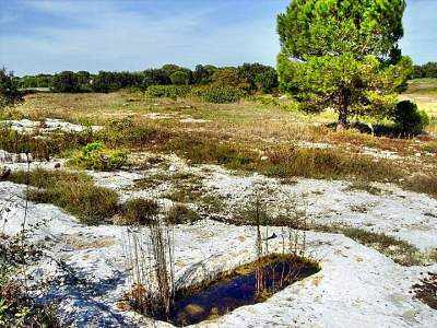 maglie tombe altomedioevali di san sidero a rischio