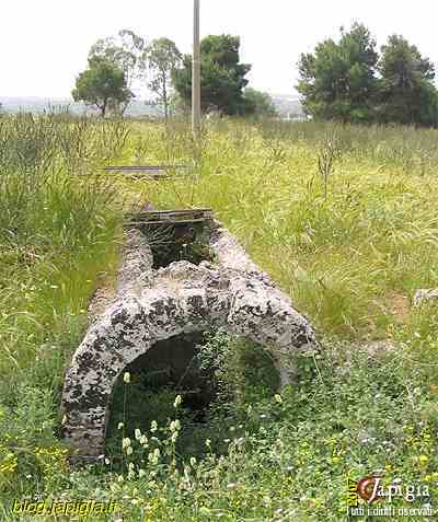 s. eleuterio: la cripta