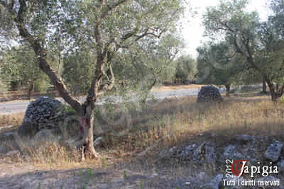 strada statale 16